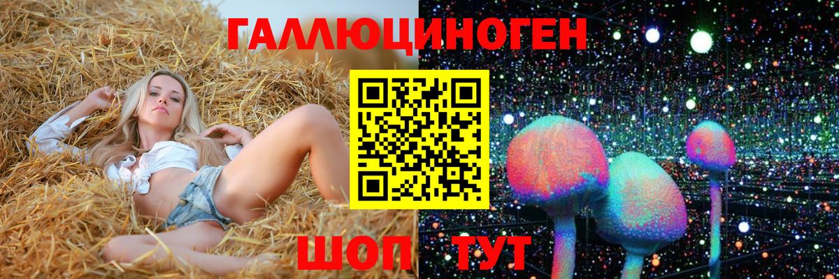 Галлюциногенные грибы Psilocybine cubensis  Псилоцибиновые грибы Magic Shrooms  Черногорск  Вход с VPN 