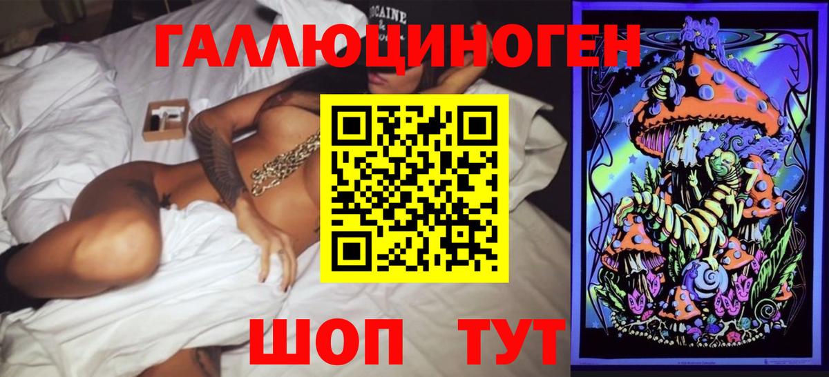 Псилоцибиновые грибы Psilocybe Черногорск